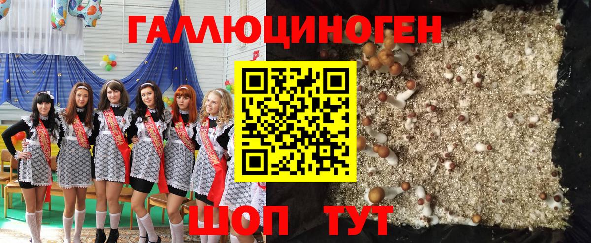 Малоярославец  Псилоцибиновые грибы Psilocybine cubensis  Вход с VPN 